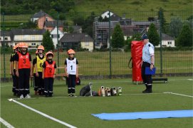 Fédération Nationale des Pompiers